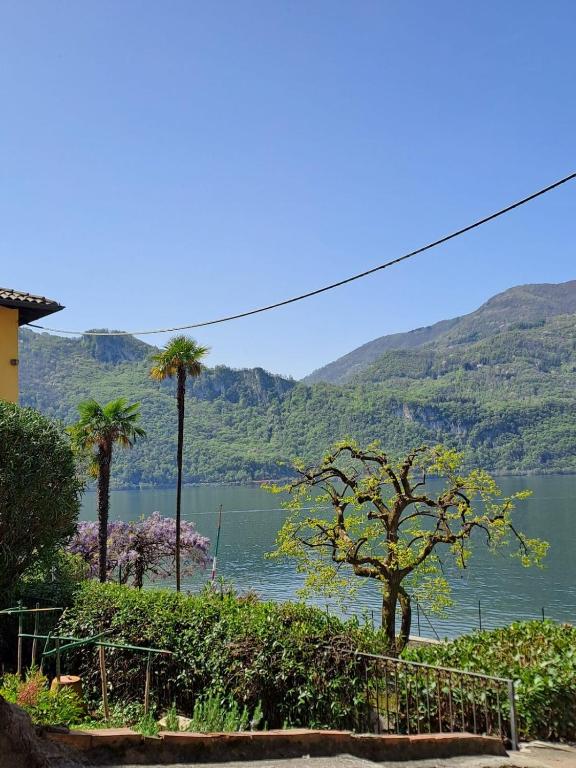 a view of a lake with palm trees and mountains at Casa Romeo lago di Como in Abbadia Lariana