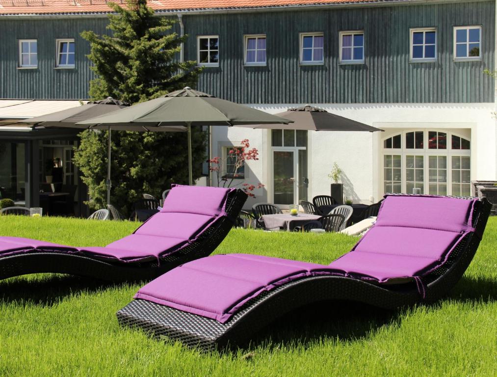 Zahrada ubytování Hotel Maucksches Gut