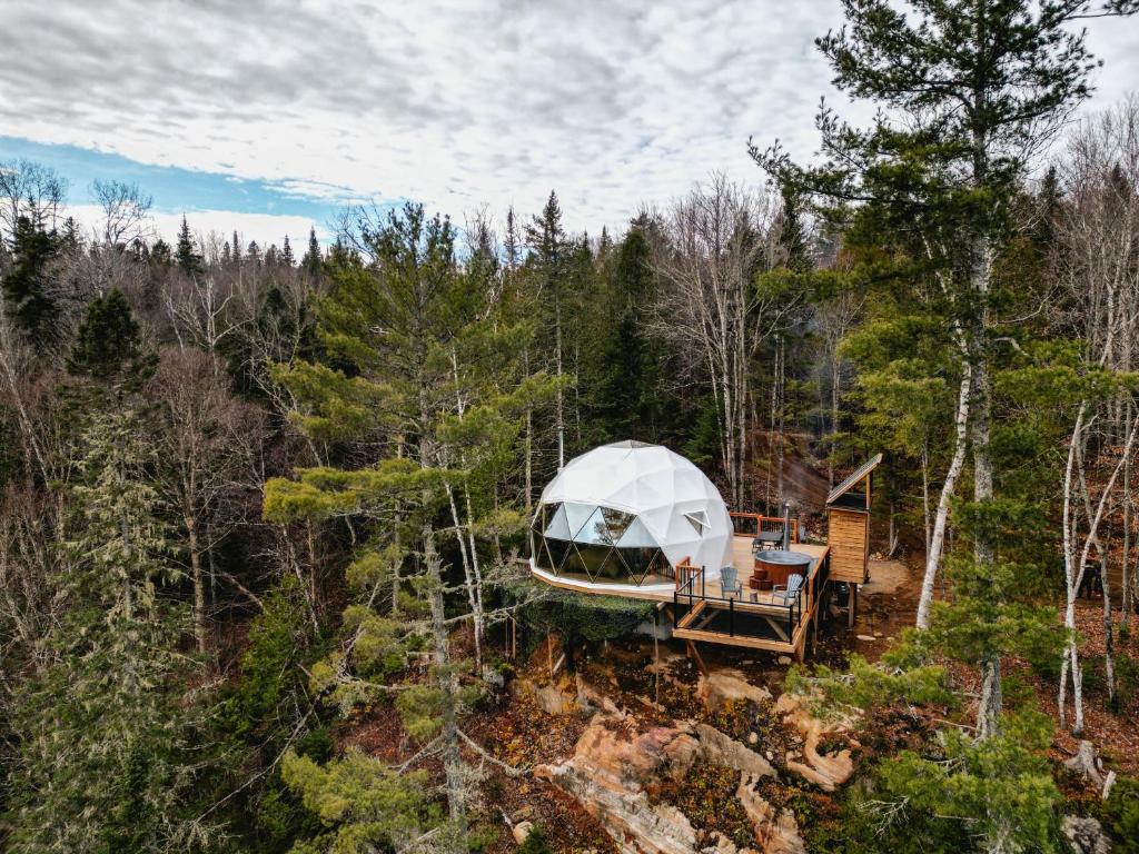 Příroda nedaleko luxury tent