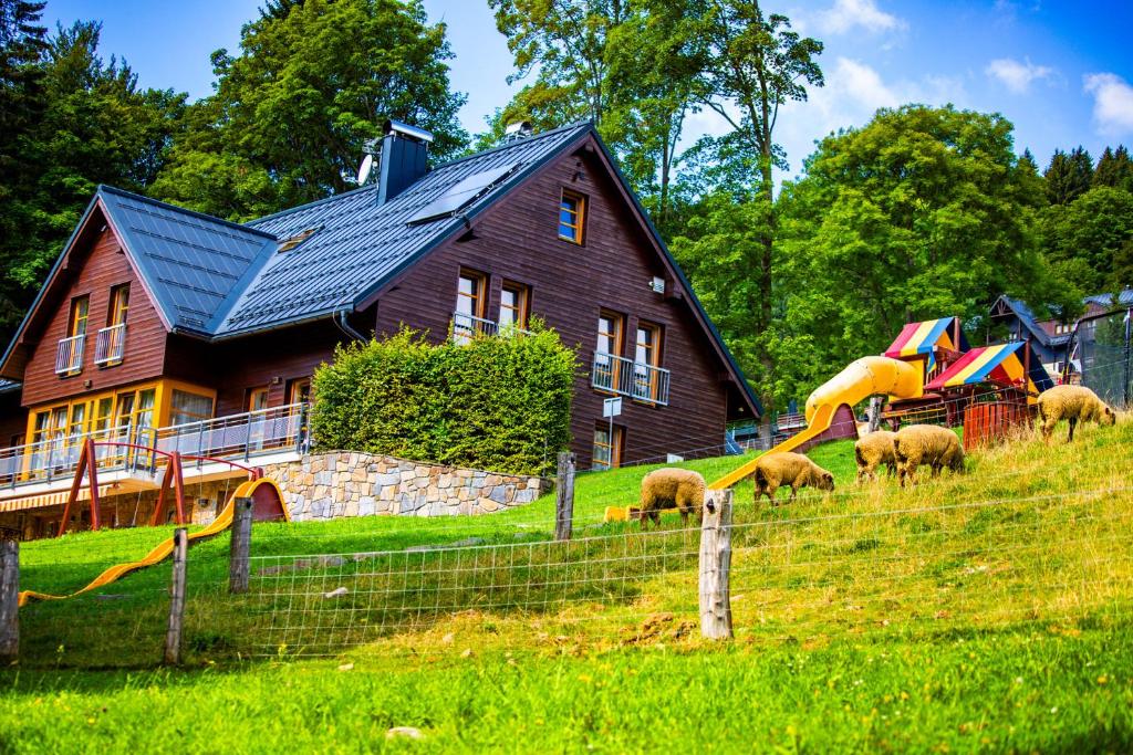Zvířata v hotelu nebo okolí