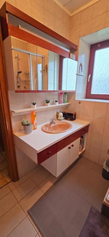 A bathroom at Apartment 9181 Feistritz in Rosental ,Klagenfurt