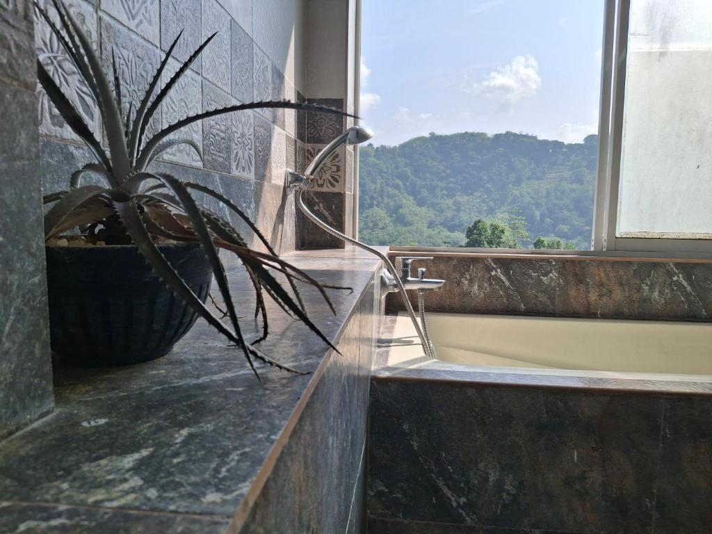 Nespecifikovaný výhled na hory nebo výhled na hory při pohledu z bed and breakfast