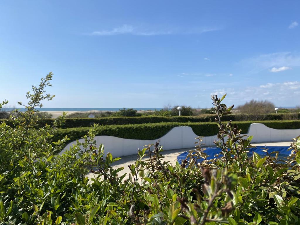 une piscine avec une clôture blanche et quelques buissons dans l'établissement Sol-y-Days Belles Plages RdJ bords de mer et piscine, à La Grande Motte