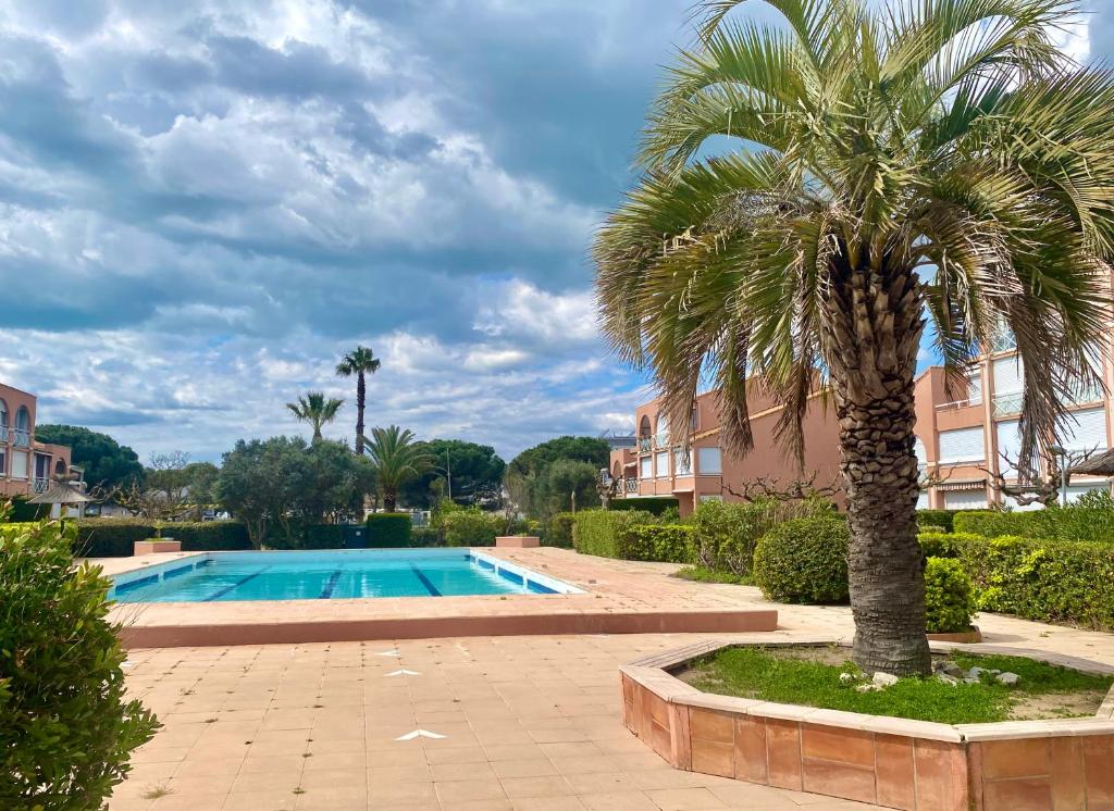 un palmier à côté d'une piscine dans l'établissement Sérénité&confort en famille, à Palavas-les-Flots