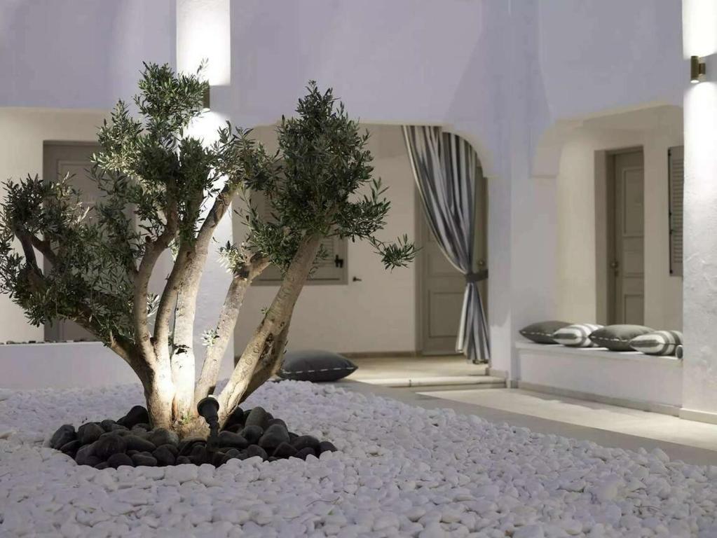 Kalisti Hotel & Suites - 15