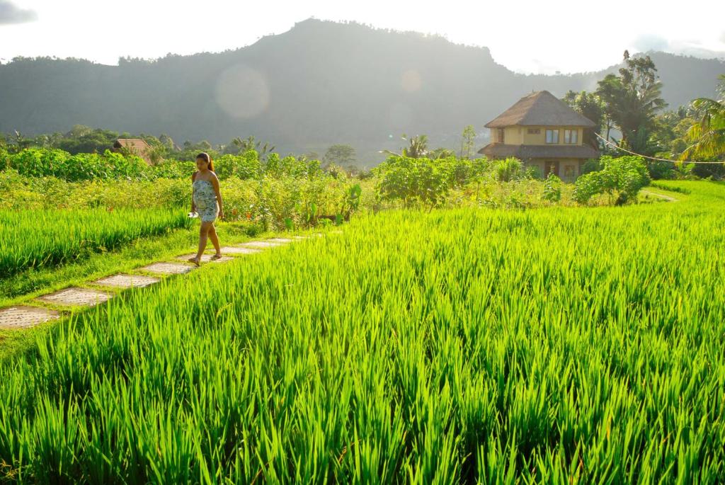 uma mulher a caminhar por um caminho através de um campo de relva em Bebek Biru em Sidemen