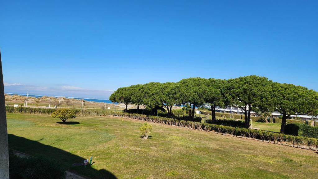 une rangée d'arbres dans un champ avec l'océan en arrière-plan dans l'établissement Sol-y-Days Lagune 2, studio Port Camargue Sud accès direct aux plages, au Grau-du-Roi