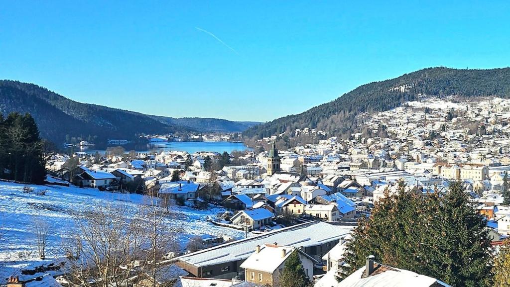 a small town with snow covered buildings and a lake at f2 VUE INCROYABLe sur lac avec jardin avec balnéo et 400m centre in Gérardmer