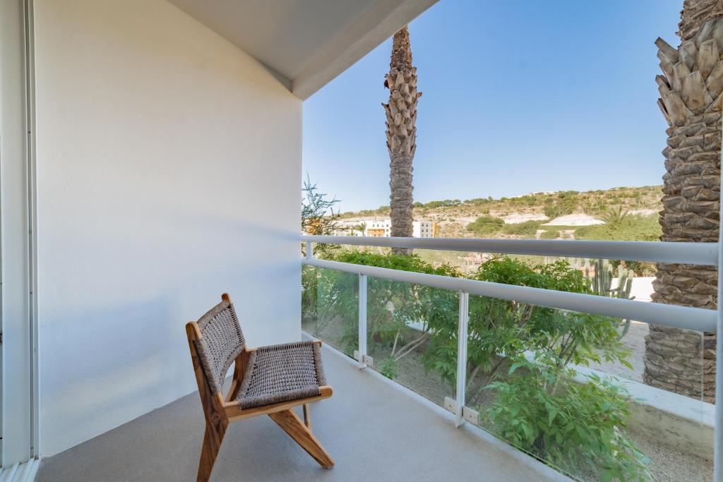 Hotel Indigo La Paz Puerta Cortes by IHG - Standard Queen Room With Garden View