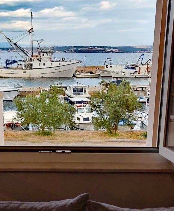 Apartman Nina - Housity