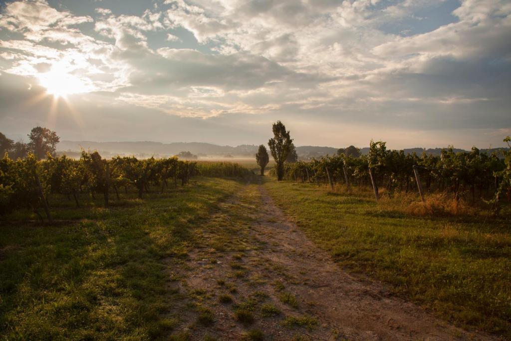 Le Quattro Terre - 15