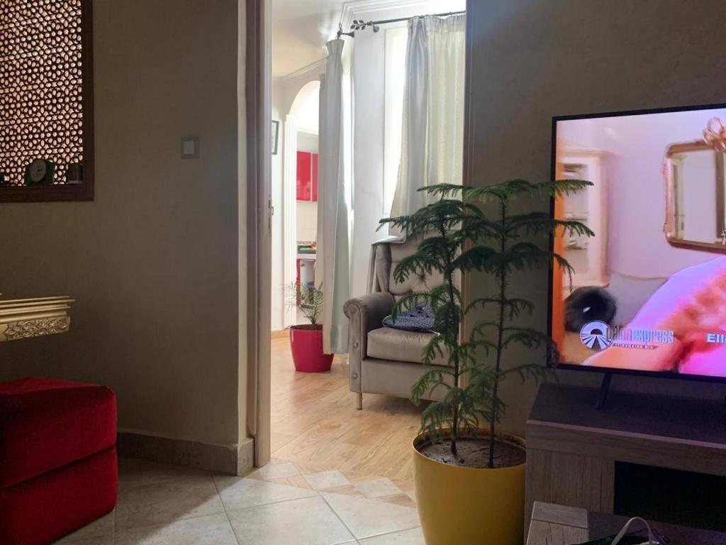 a living room with a tv and a plant at Lalla Ghita Appartement Essaouira Medina in Essaouira