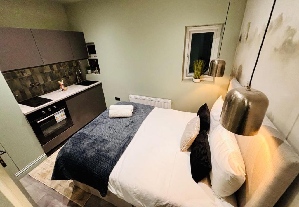 Luxury city centre London flats, ideal for tourists, Streatham Vale ... - Luxury City Center Apartments With Private Entrance