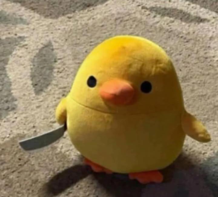 Zvířata v hotelu nebo okolí