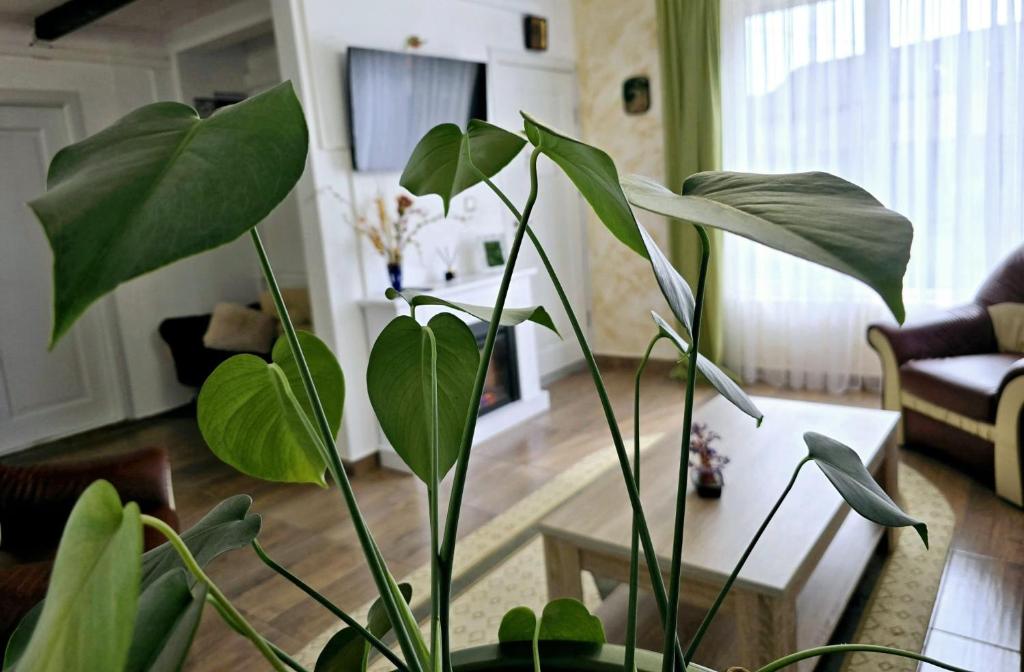 Posezení v ubytování Green Panorama Relax Concept