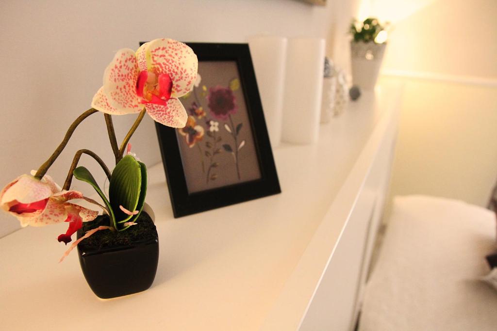 Hotel Luna Rossa - Resim 25