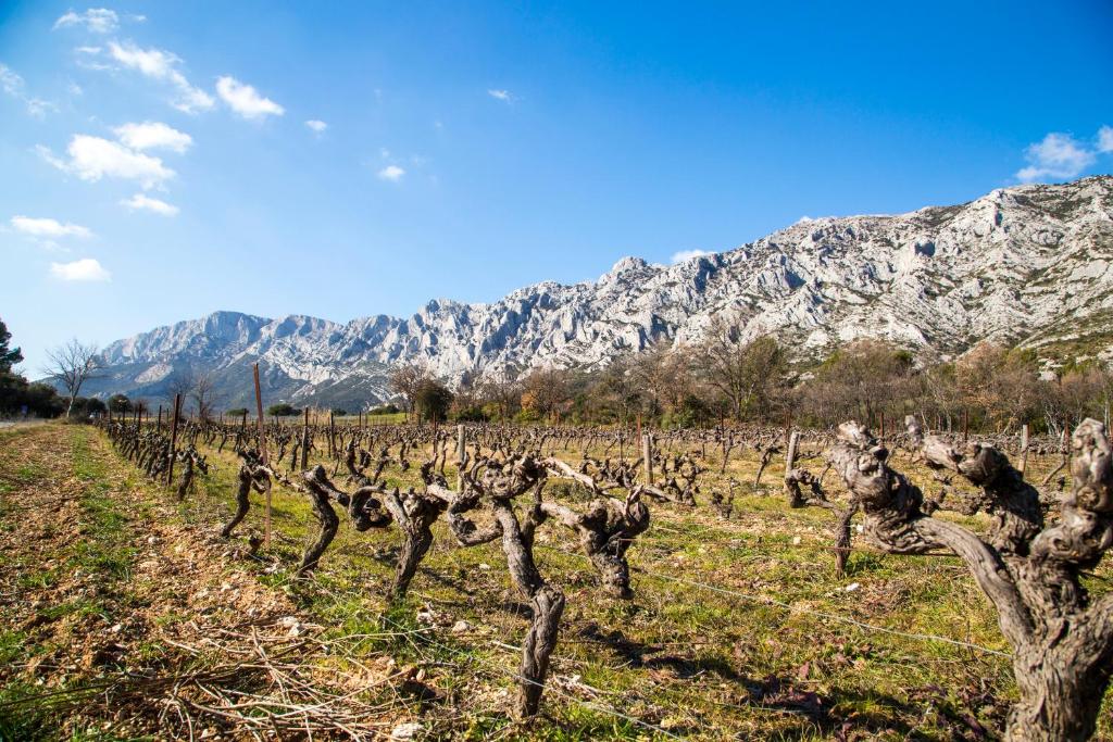 Campanile Prime - Aix-en-Provence Sud - Pont de l'Arc - Resim 37