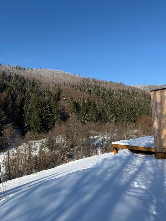 Příroda nedaleko luxury tent