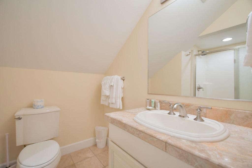 Un baño con lavabo, inodoro y espejo. en Lakeshore Lodging Lodge 711, en Homer
