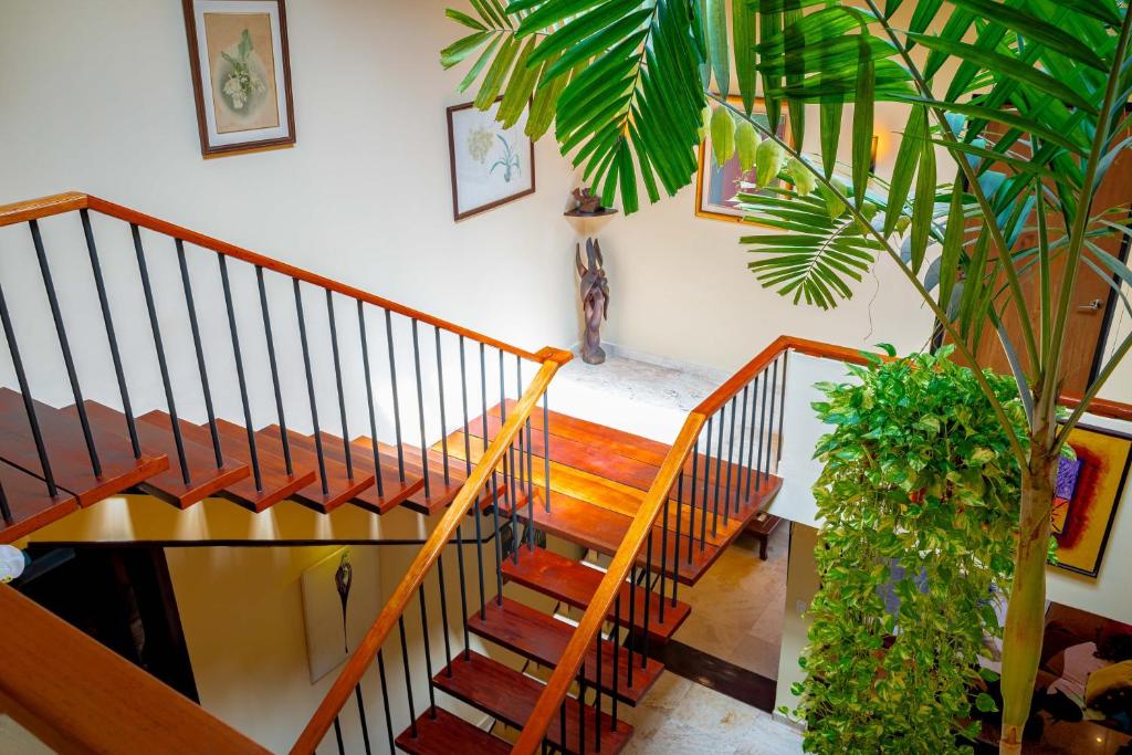 Fotografie z fotogalerie ubytování Casa Orquídea Panamá v destinaci Panamá