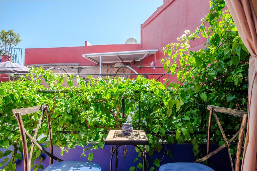 Zahrada ubytování Riad Bobby Marrakech