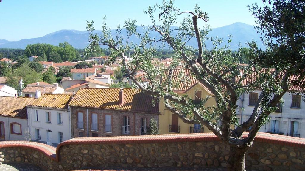 Vista general d'una muntanya o vistes d'una muntanya des del bed and breakfast