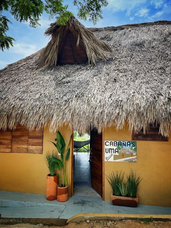 a building with a thatched roof with plants outside at Cabañas Uma 1 in San Agustinillo