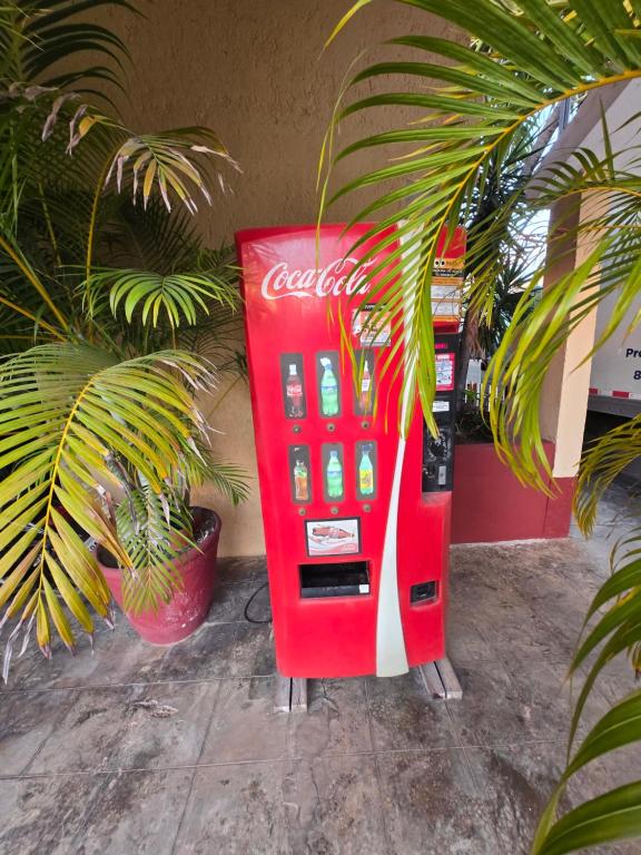Fotografie z fotogalerie ubytování Hotel posada MARCAS v destinaci Cancún