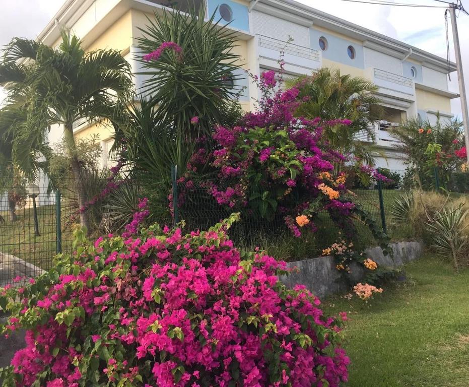 Zahrada ubytování LES HIBISCUS