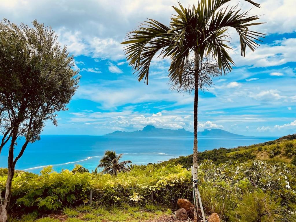 Villa Mana O Te Moana Tahiti - photo 12 - Tahiti, Polynésie