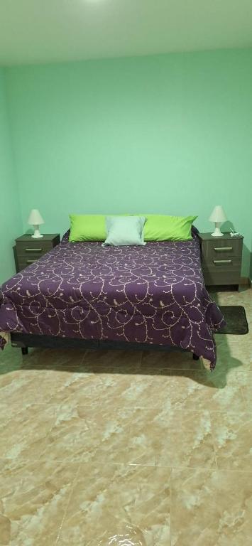 a purple bed with a cat laying on top of it at Departamento Dulce Adelina I - Zona Céntrica in Río Grande