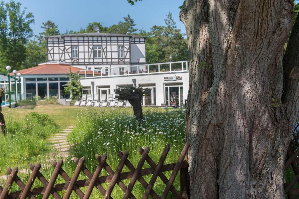 Zahrada ubytování Best Western Plus Ostseehotel Waldschloesschen