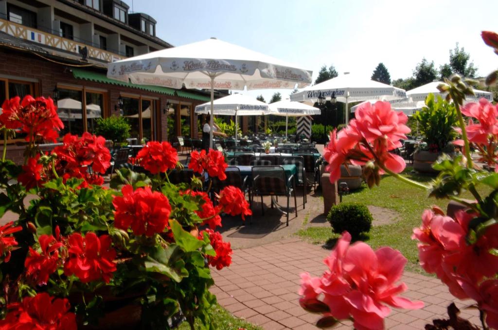 Restaurace v ubytování Best Western Hotel Brunnenhof
