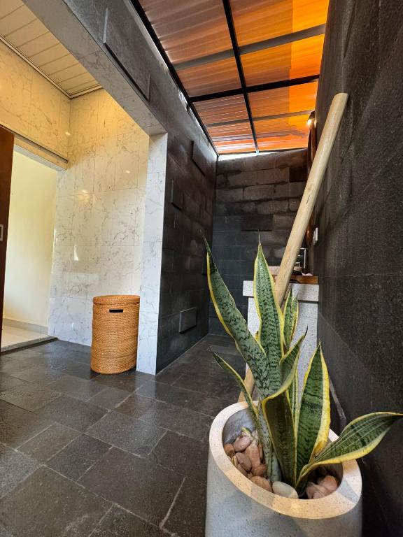 The Kanha Palace - 5