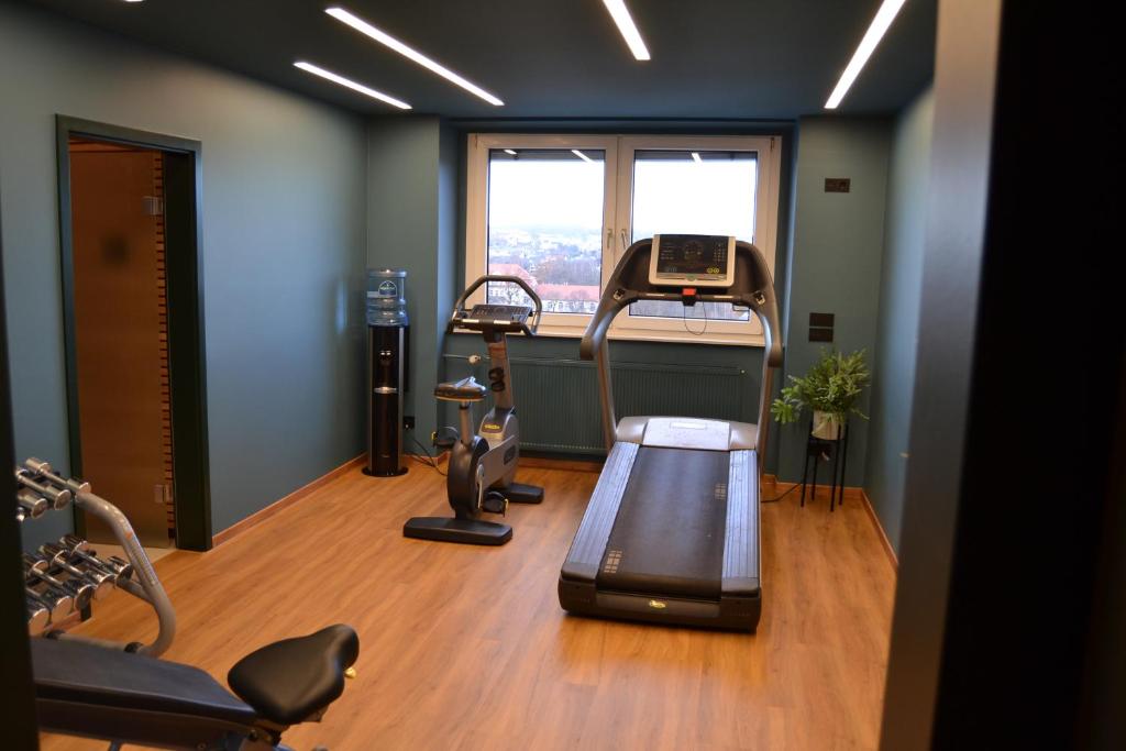 Fitness centrum a/nebo fitness zařízení v ubytování Seaside Residenz Hotel Chemnitz
