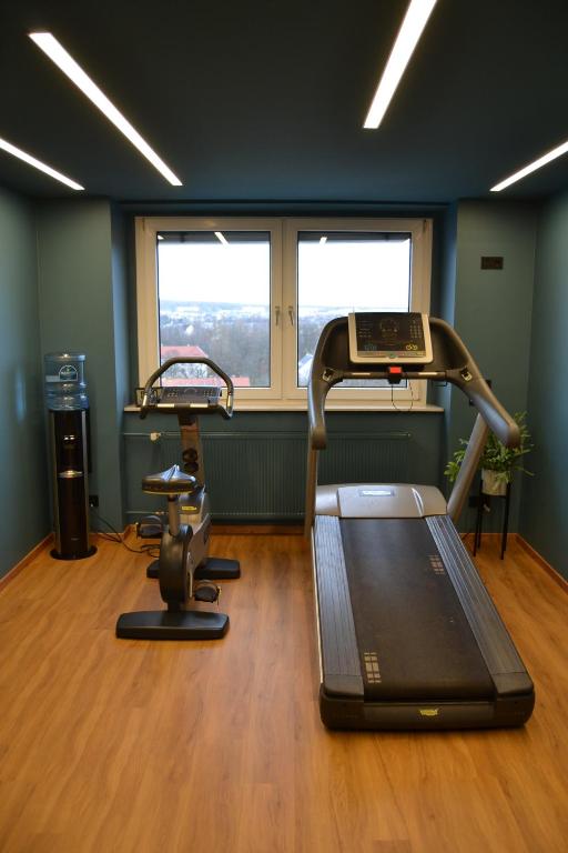Fitness centrum a/nebo fitness zařízení v ubytování Seaside Residenz Hotel Chemnitz