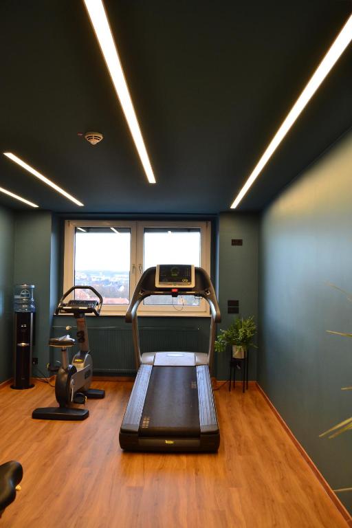 Fitness centrum a/nebo fitness zařízení v ubytování Seaside Residenz Hotel Chemnitz