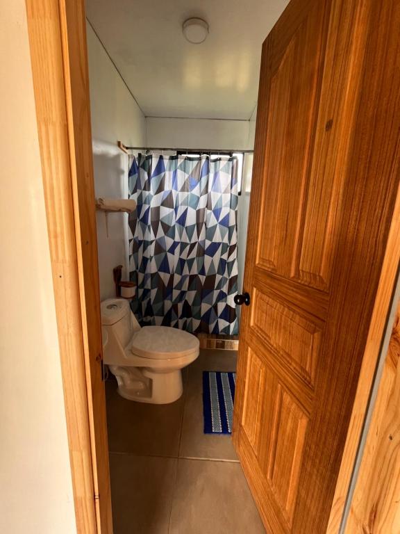 a bathroom with a toilet and a shower curtain at Los Molinos Alto in Valdivia