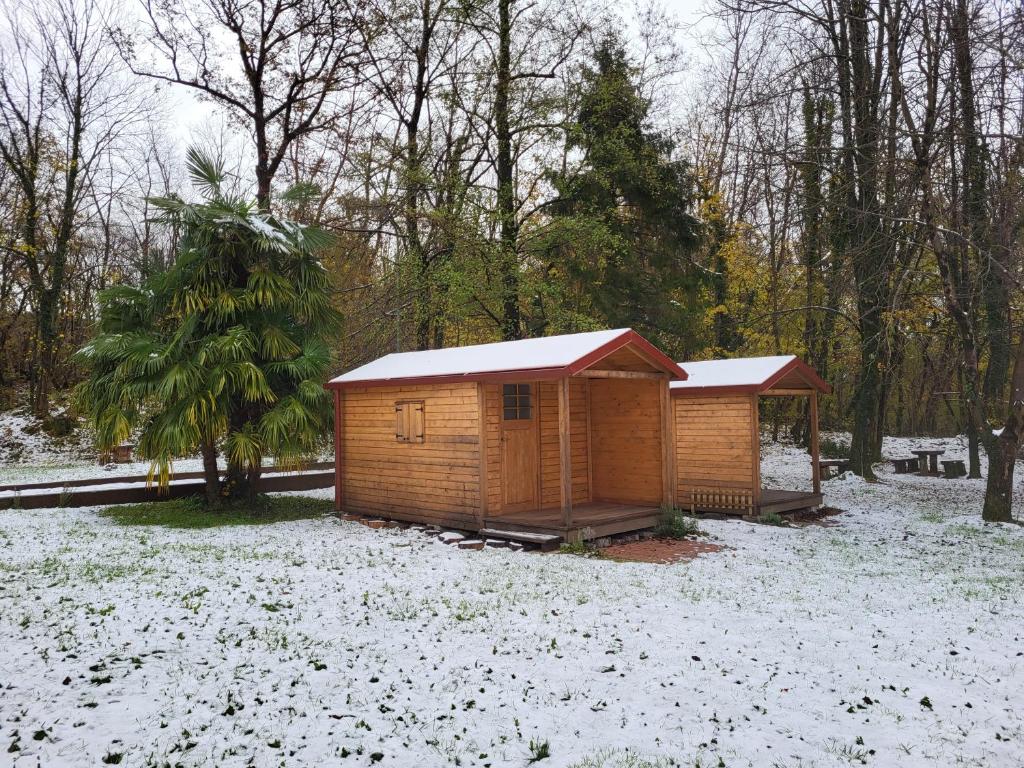 Koča sredi gozda pozimi