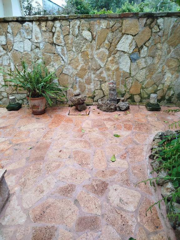 Κήπος έξω από το Athina's Mon Repo Apartment