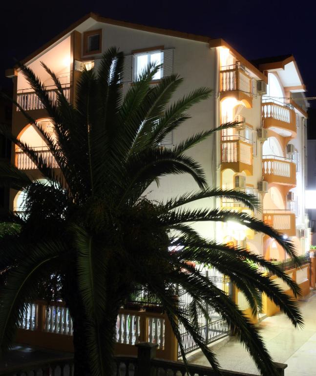 a palm tree in front of a building at night at Apartments Memidz in Budva