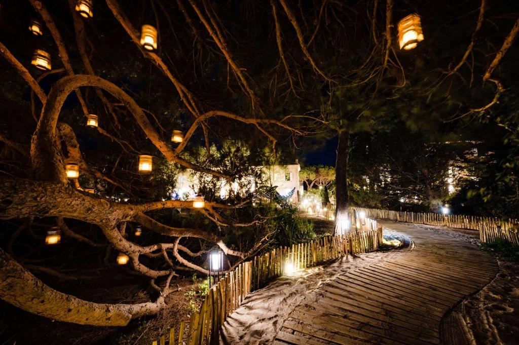 a tree with lights on a walkway at night at Le Hameau Des Pesquiers Ecolodge & Spa, Curio Collection By Hilton in Hyères