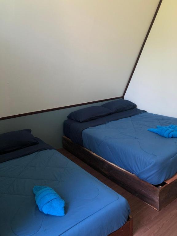 Postel nebo postele na pokoji v ubytování Ample Forest Khao Sok Farmstay