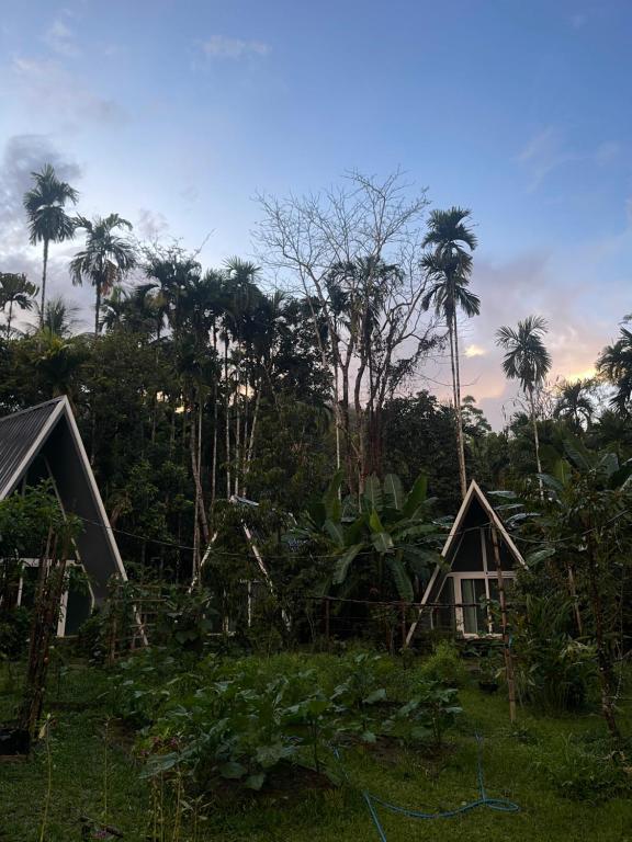 Zahrada ubytování Ample Forest Khao Sok Farmstay