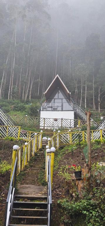 a stairway leading to a white house in the fog at The Soul Of Vattavada in Vattavada