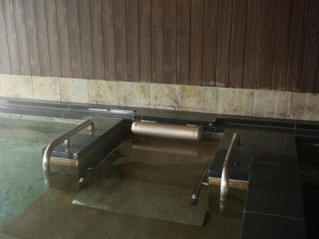 Fotografie z fotogalerie ubytování Tennen Onsen Taho-no-Yu Dormy Inn Niigata v destinaci Niigata