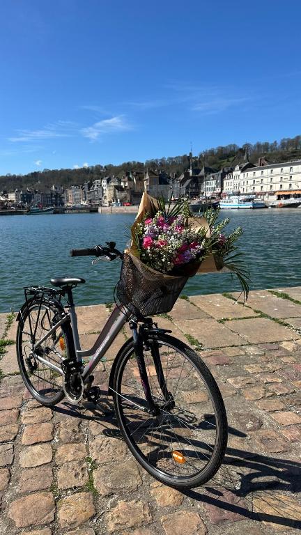 Les Calins d'Honfleur - 16