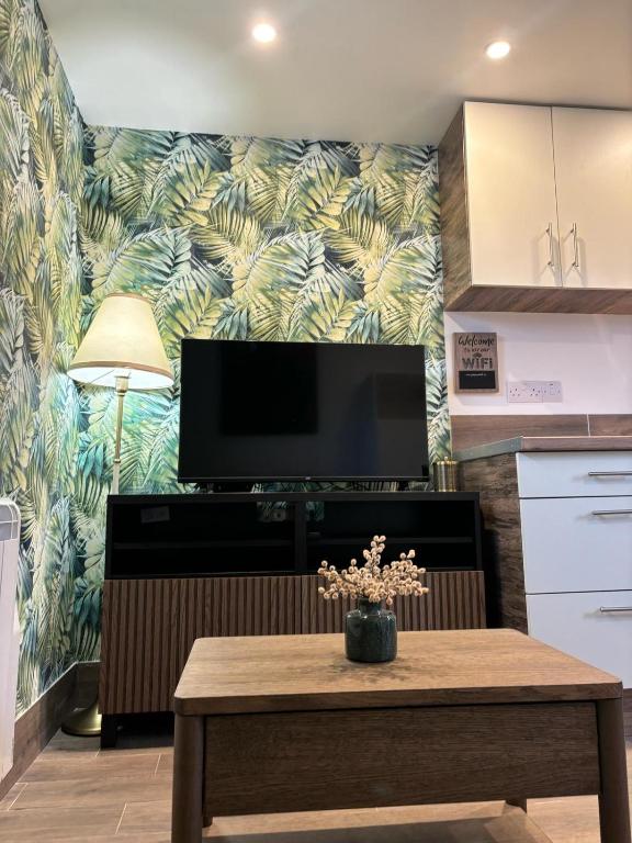 TV a/nebo společenská místnost v ubytování Kildare Cosy Apartment