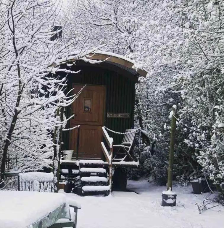 Hide and Sheep Shepherds Hut v zimě