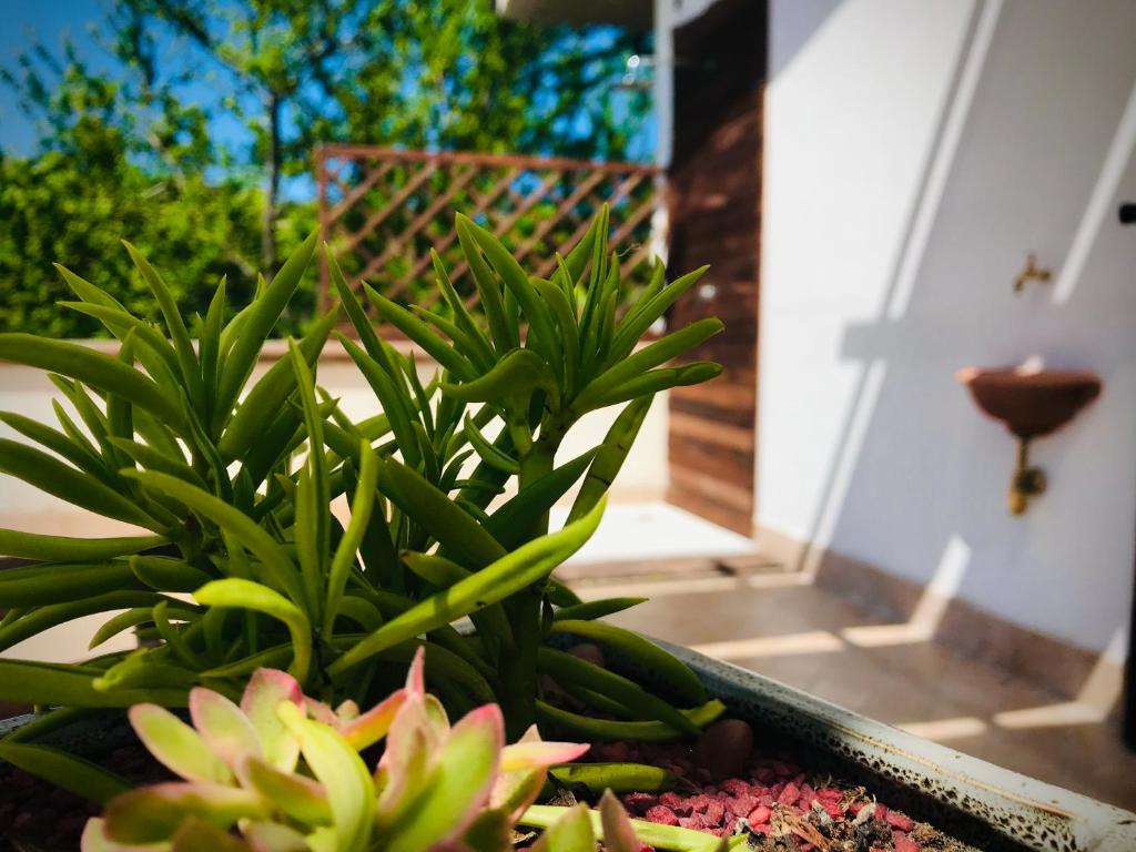 B&B Prato San Lorenzo - Familienzimmer Mit Terrasse